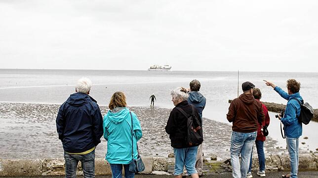 Nach 1083 Kilometern beendet Andreas Fath sein Projekt Pure Elbe in Cuxhaven: Mit der Extremsport-Aktion will er auf Gewässerschutz ...