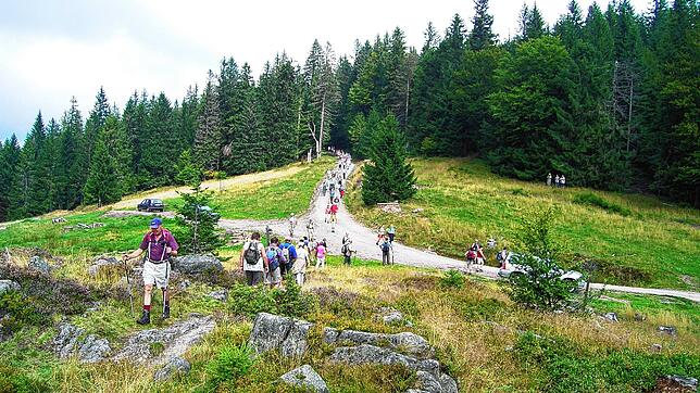 Wandern, wie hier über Menzenschwand, liegt im Trend. Deshalb will die Touristinformation in St. Blasien 2021 in diesem Bereich Aktionen ...