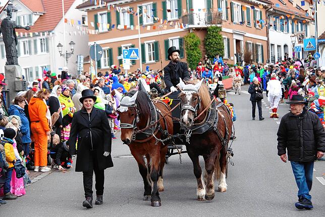 Bild 43: Bilder vom Fasnetssunntig-Umzug in Markdorf (Teil 1)