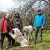 Bernhard Wünsche und Ingo Hinze (von links) lassen ihre Schafe oberhalb von Ludwigshafen weiden. Die Herdenschutzhunde Bella und ...