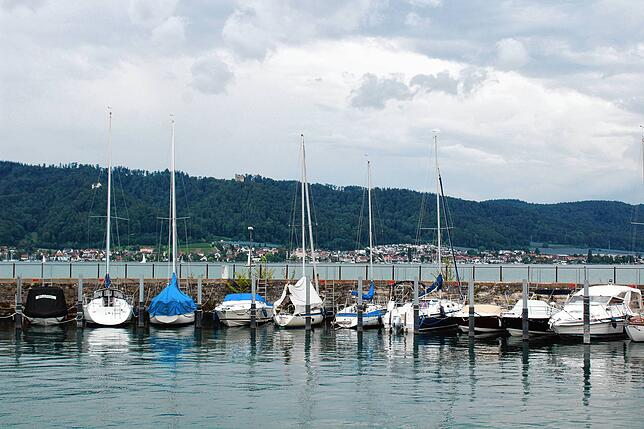 Der Blick ans andere Ufer nach Bodman. Beim Seeschwimmen der DLRG schwimmen rund 150 Teilnehmer von Ludwigshafen hinüber zum Strandbad ...