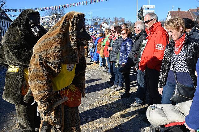 Bild 19: Bilder vom Narrentreffen der Urviecher-Zunft Bad Dürrheim: Großer Festumzug (3)