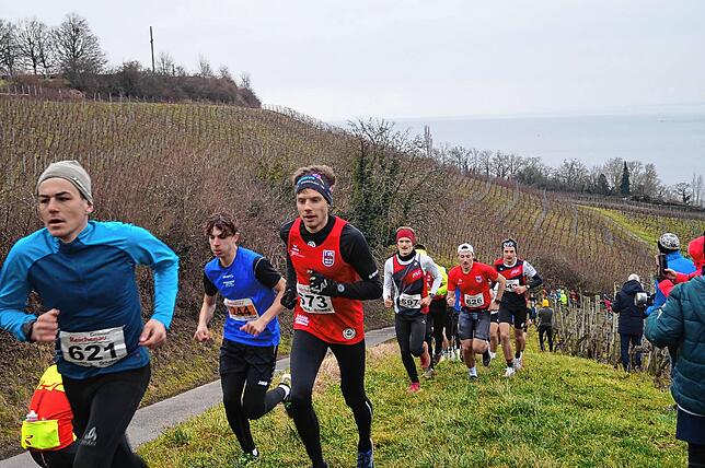 Bild 19: Bilder vom Crosslauf Hegau-Bodensee in den Reben oberhalb der Haltnau