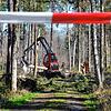 Bild :