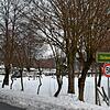 Der Bereich des Camping Wirthshof östlich der Muldenbachstraße: Hier sollen im Sommer 2022 Camping-Chalets stehen.