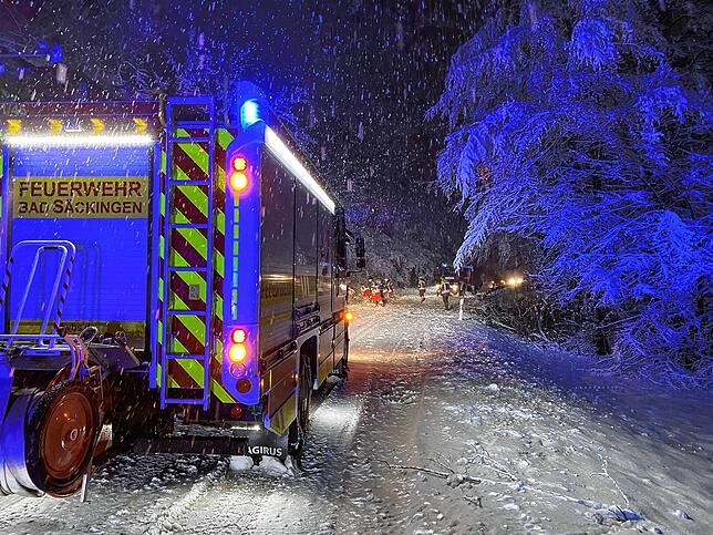 Die Feuerwehr Bad Säckingen bei einem Einsatz im Januar 2021.