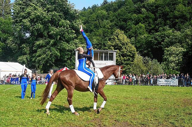 Tolle Show: Die Voltigiergruppe des Sportvereins Harpolingen begeistert beim Pfingstreitturnier mit Turnen auf dem Pferd.