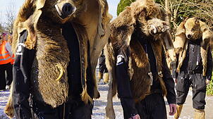 Bild : Küssaberger Narrentreffen 2025: Rheinheim feiert Fasnacht