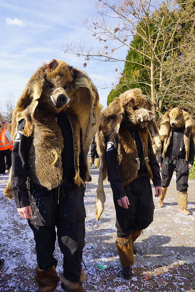 Bild 1: Küssaberger Narrentreffen 2025: Rheinheim feiert Fasnacht