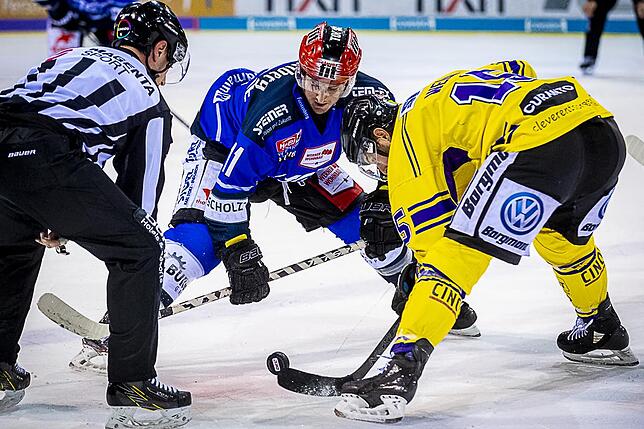 Bild 22: Bilder: Wild Wings vs. Krefeld Pinguine