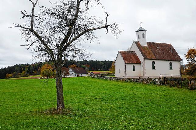 Ganz in der Nähe von Brigachtals Ortsteil Überauchen soll der Weißwald als Standortübungsplatz für das Jägerbataillon 292 aus ...