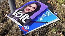 Plakate von Volt und AfD liegen an der Alten Landstraße im Gras. Offensichtlich wurden sie vom Laternenpfahl gerissen. Bild: Sprich