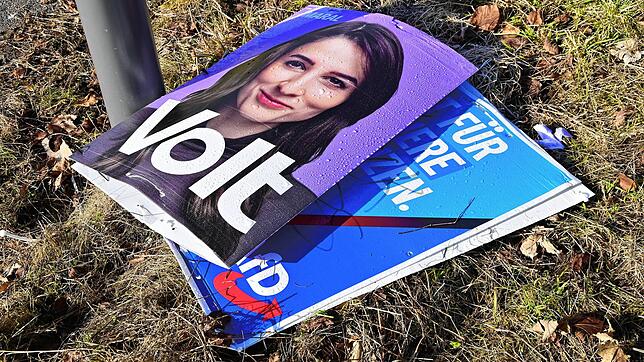 Plakate von Volt und AfD liegen an der Alten Landstraße im Gras. Offensichtlich wurden sie vom Laternenpfahl gerissen. Bild: Sprich