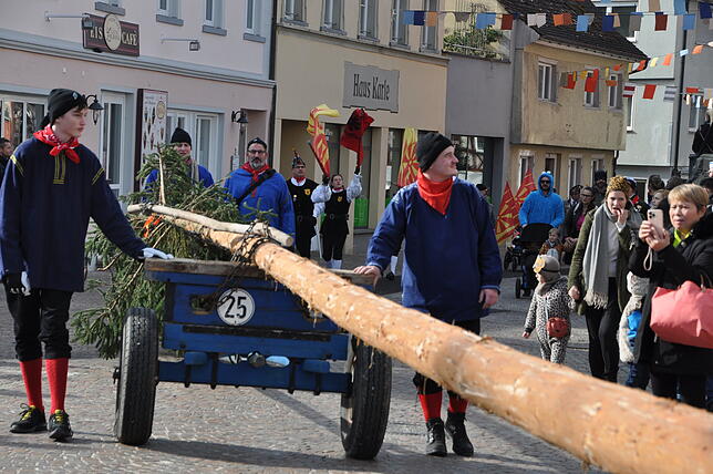 Bild 1: Markdorf: Narrenbaumsetzen 2025 – alle Highlights und besten Einblicke!