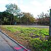 Angrenzend an das Ott-Areal im Bannholzer Weg sollen auf dem freigeräumten ehemaligen Schrottplatz insgesamt zehn Container als ...