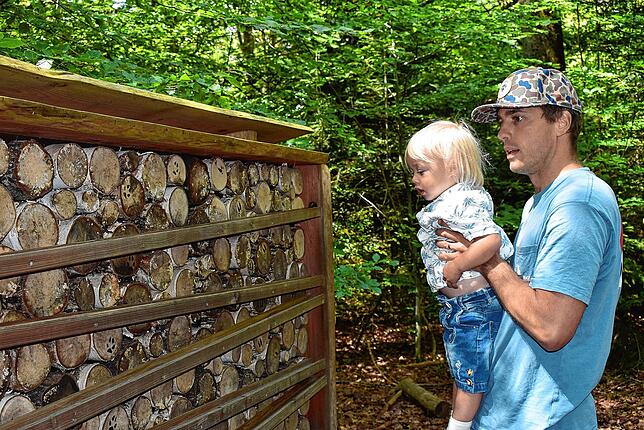 Eine Attraktion für Familien ist der Kugelwaldpfad in Birkendorf. Tausende kommen seit Einweihung im Jahr 2021 nach Birkendorf.