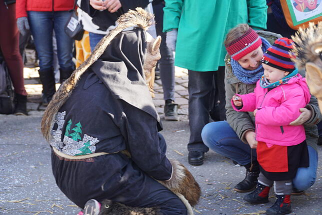 Bild 23: Bilder zum Fuhrmannstag in Dittishausen