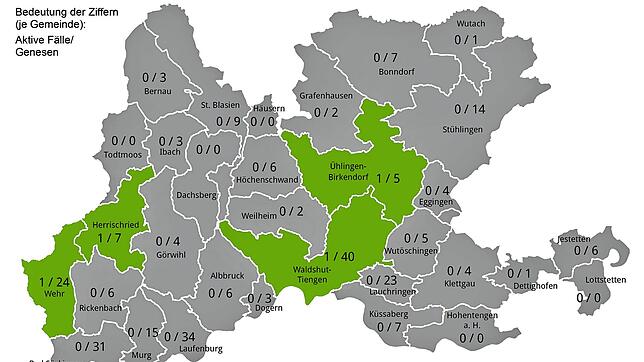 Übersicht über aktive Covid-19-Fälle und Genesene im Landkreis Waldshut am 22. Mai 2020.