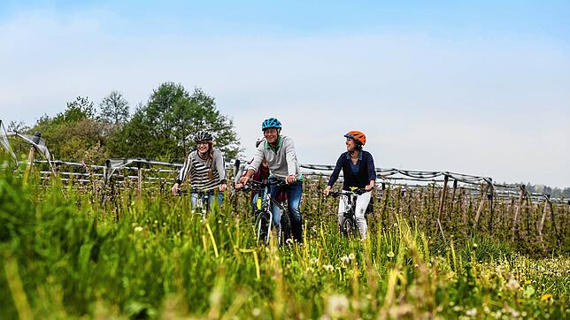 Seit 2018 nimmt Friedrichshafen an der Aktion &bdquo;Stadtradeln &ndash; Sei dabei&ldquo; teil, bei der Kilometer mit dem Fahrrad oder ...