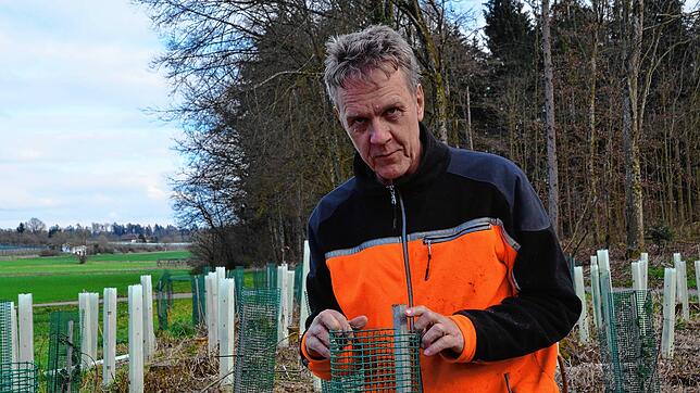 Martin Roth in einer seiner Neuanpflanzungen bei Bermatingen.