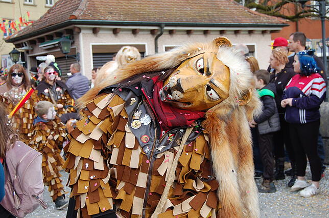 Bild 29: Bilder vom Fasnachtsumzug in Laufenburg (2)