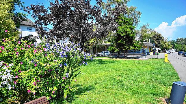 Auf diesem kleinen Grundstück der Stadt Radolfzell soll ein Neubau mit 20 Wohnungen entstehen, acht davon mit gedämpften Mieten.