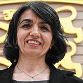 Muhterem Aras, Die Grünen.