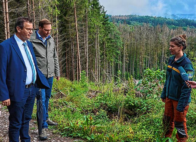 Informieren: Die Wehrer Stadtförsterin Swantje Schaubhut, erläutert Minister Hauk (CDU) und dem Abgeordneten Schreiner (CDU, MdB) die ...