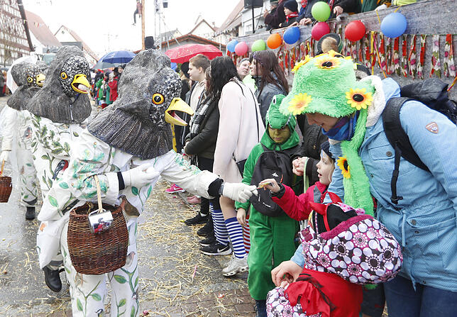 Bild 2: Bilder zum großen Narrentreffen in Pfohren (2)