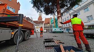 Mitarbeiter der Überlinger Stadtverwaltung stellen auf der Hofstatt einen Weihnachtsbaum auf.