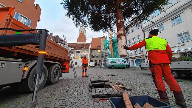 Mitarbeiter der Überlinger Stadtverwaltung stellen auf der Hofstatt einen Weihnachtsbaum auf.