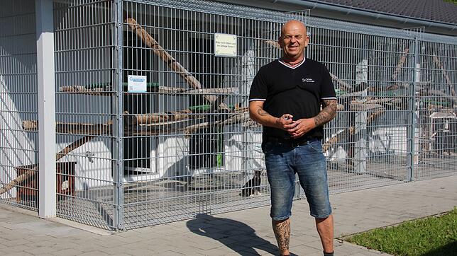 Martin Grillenberger leitet die Tierheime in Sigmaringen und Bad Saulgau. Unser Archivbild zeigt ihn vor dem neuen Katzenhaus in ...
