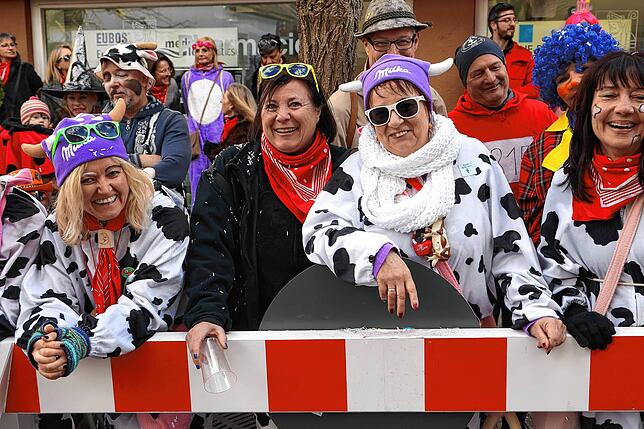 Bild 1: Bilder vom Fastnachtsumzug in Radolfzell (Teil 2)