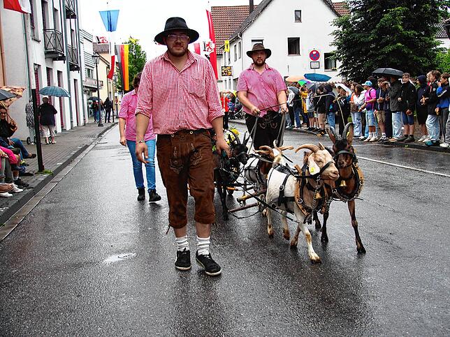 Bilder vom Festumzug beim Bächtle-Fest.