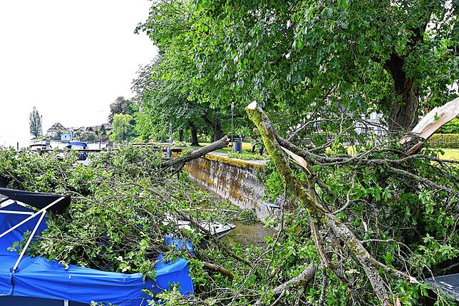 Der Tag nach dem Gewitter. Überall in Bodman-Ludwigshafen sind Schäden zu sehen.