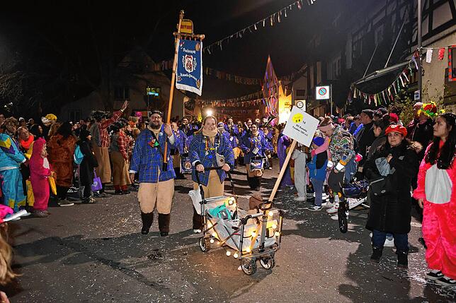 Bild 4: Nachtumzug Möggingen 2025: Fasnacht in Bildern – 30 Gruppen in voller Pracht