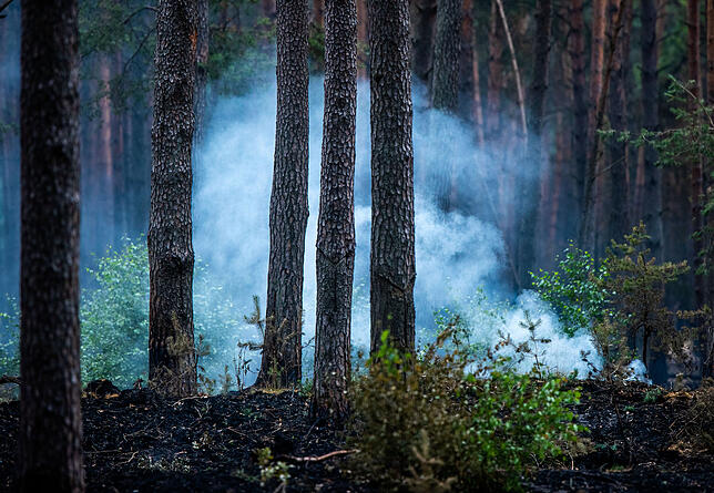 Bild 2: Hier ist Löschen lebensgefährlich: Waldbrände werden aufgrund der Klimaänderungen häufiger auftreten &ndash; vor allem alte Militärgelände stellen Risiken dar