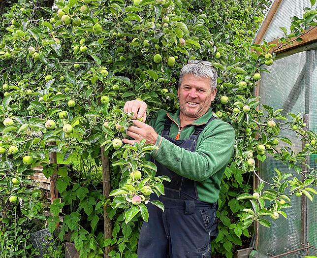 Bei einem Überhang an Früchten, ist der Baum nicht in der Lage, alle Früchte ausreichend mit Nährstoffen zu versorgen. Deshalb müssen ...