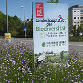 Die Tafel verkündet es: Bad Saulgau ist Hauptstadt der Biodiversität.