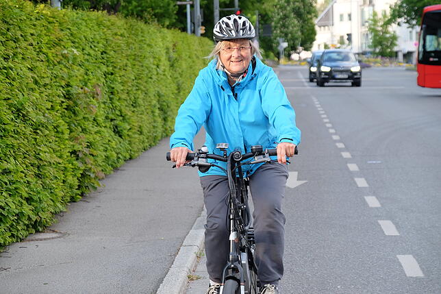 Bild 10: Über zehn Stationen durch Überlingen: Wo in der Stadt Gefahren für Radfahrer lauern