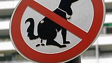 Zunehmende Probleme mit Hundekot – auch in Streuobstwiesen – sind Thema im Nollinger Beirat. Foto: Roland Weihrauch