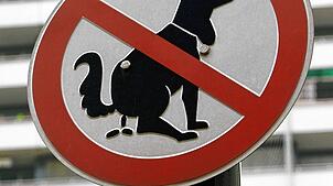 Zunehmende Probleme mit Hundekot – auch in Streuobstwiesen – sind Thema im Nollinger Beirat. Foto: Roland Weihrauch