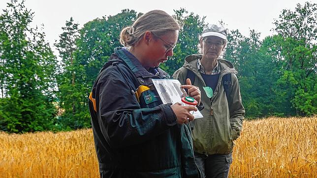 Waldpädagogin Lena-Marie Stefan erklärt, wie gefährlich der Borkenkäfer für den Wald ist.