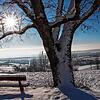 In strahlendem Sonnenschein lässt sich der Schnee noch schöner genießen &ndash; mit Blick auf den Hegau.