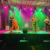Zu sehen sind &bdquo;The Bombs&ldquo; aus Ulm. Sie spielen Rock&lsquo;n&lsquo;Roll gemischt mit Country und Blues. Bild: Hannah Schedler