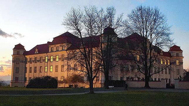 Am Amtsgericht Tettnang wurde diese Woche ein Fall von Subventionsbetrug verhandelt.