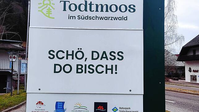 Diese Willkommensstele am Ortseingang im Bereich des Todtmooser Rathauses wurde neu gestaltet. Bild: Andreas Böhm