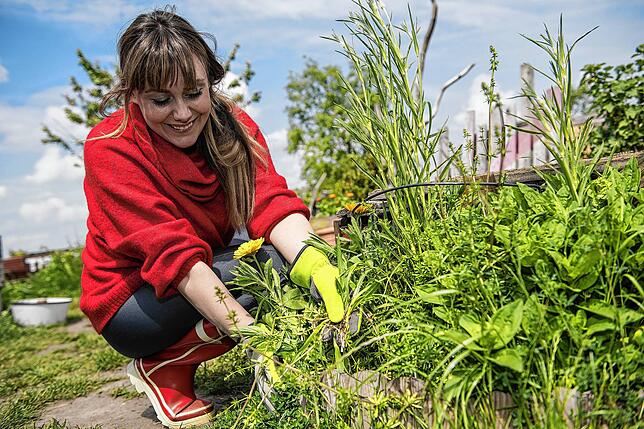 Ist das Unkraut oder darf das bleiben? Eine Frage, die viele Gärtner umtreibt und in einem naturnahen Garten flexibler beantwortet wird. ...