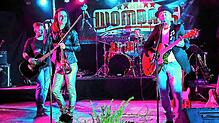 Die Wombats veranstalten am 17. August ihr 24. Open-Air-Konzert im Schonacher Kurpark. Bild: Wombats