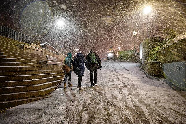 Bild 4: Hallo Winter! Die schönsten Bilder aus dem schneebedeckten Konstanz